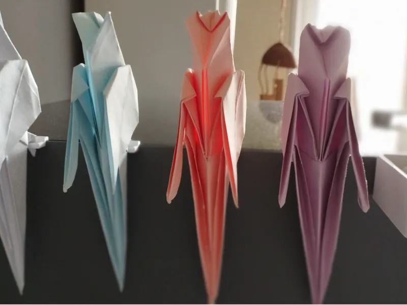 support perroquet latéral P2S
