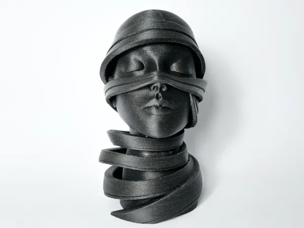 https://makerworld.bblmw.com/makerworld/model/USd145d423d4f563/design/2025-01-09_4d8401085f3ba.png