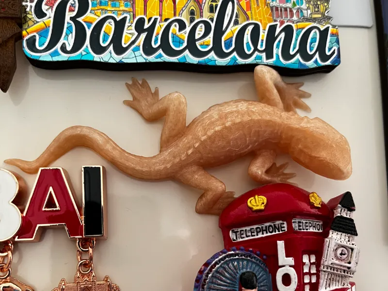 Detailed Lizard