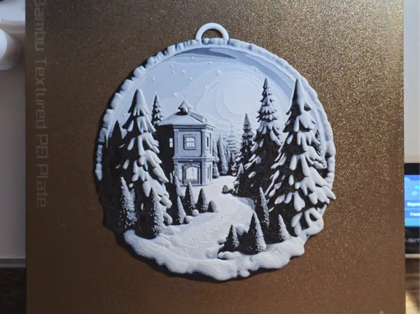 https://makerworld.bblmw.com/makerworld/model/USd147b0425dba0e/design/2024-10-15_9bf157dabf618.jpg