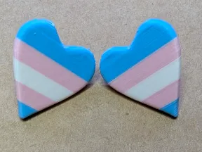 Trans Pride Earring Studs view 2