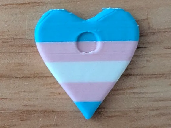 Trans Pride Earring Studs view 4