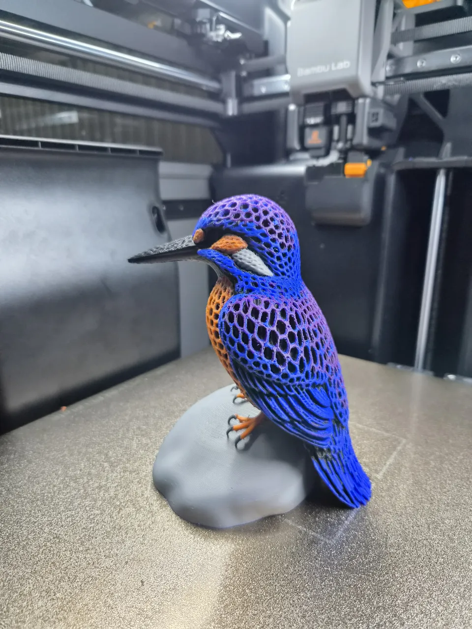 Kingfisher – A Colorful Masterpiece view 3