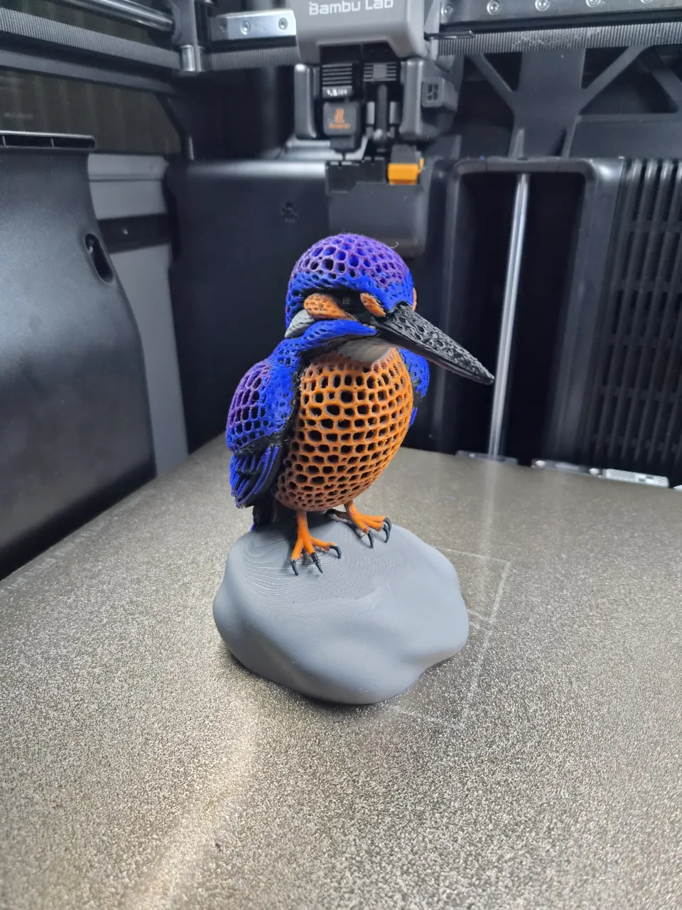 Kingfisher – A Colorful Masterpiece view 2