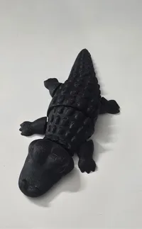 croc mono color
