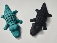 croc 2 color multi color with eyes