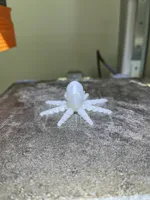 Roctopus — poulpe articulé tête de pierre — photo 4