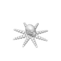 Roctopus — poulpe articulé tête de pierre — photo 2