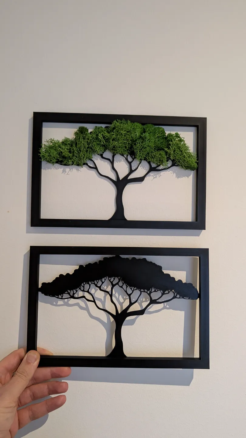 Moosbild_Tropischer Baum view 2