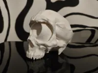 0.12mm layer, 2 walls, 6% infill