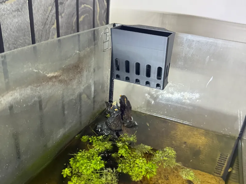 aquarium plant hangar