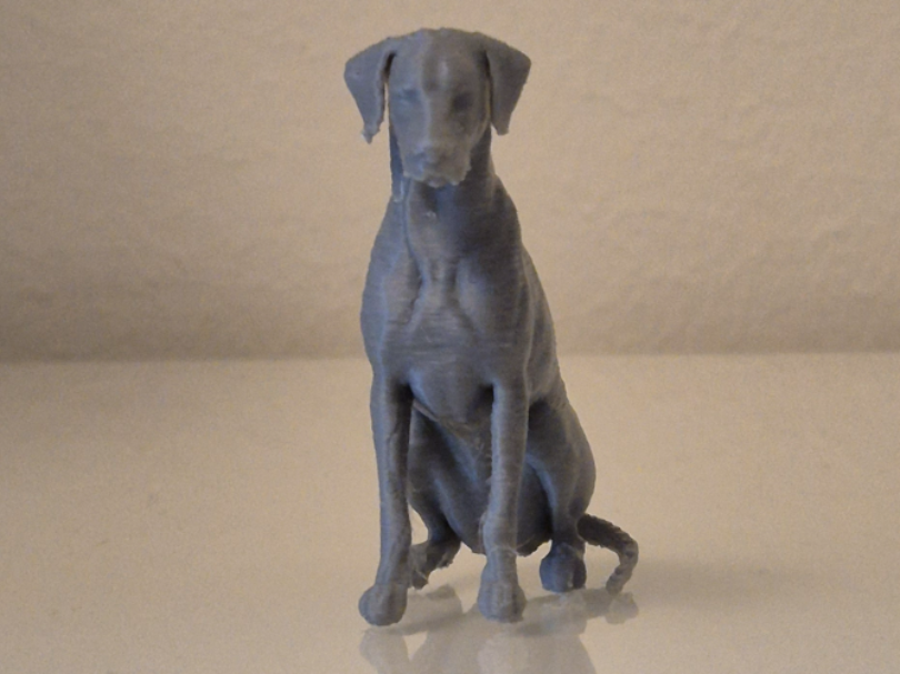 Rhodesian Ridgeback – 3D Printable Dog Statue