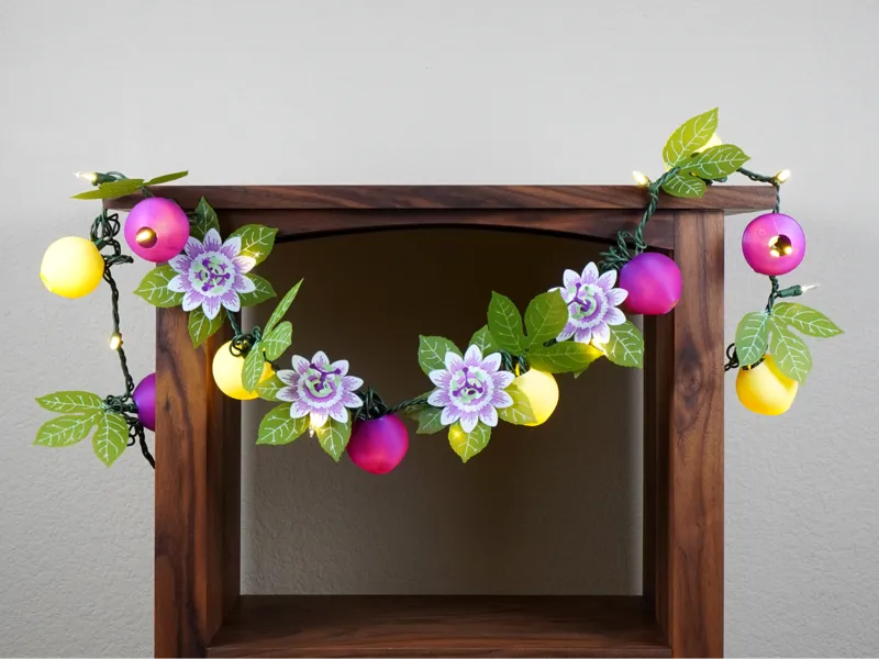 Passion Fruit String Lights