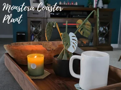 Monstera Coaster Plant - No AMS Required
