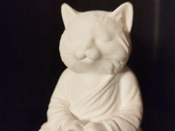 https://makerworld.bblmw.com/makerworld/model/USd16bfa3eda8ee2/design/2025-04-27_8c2cc254a45c.jpg