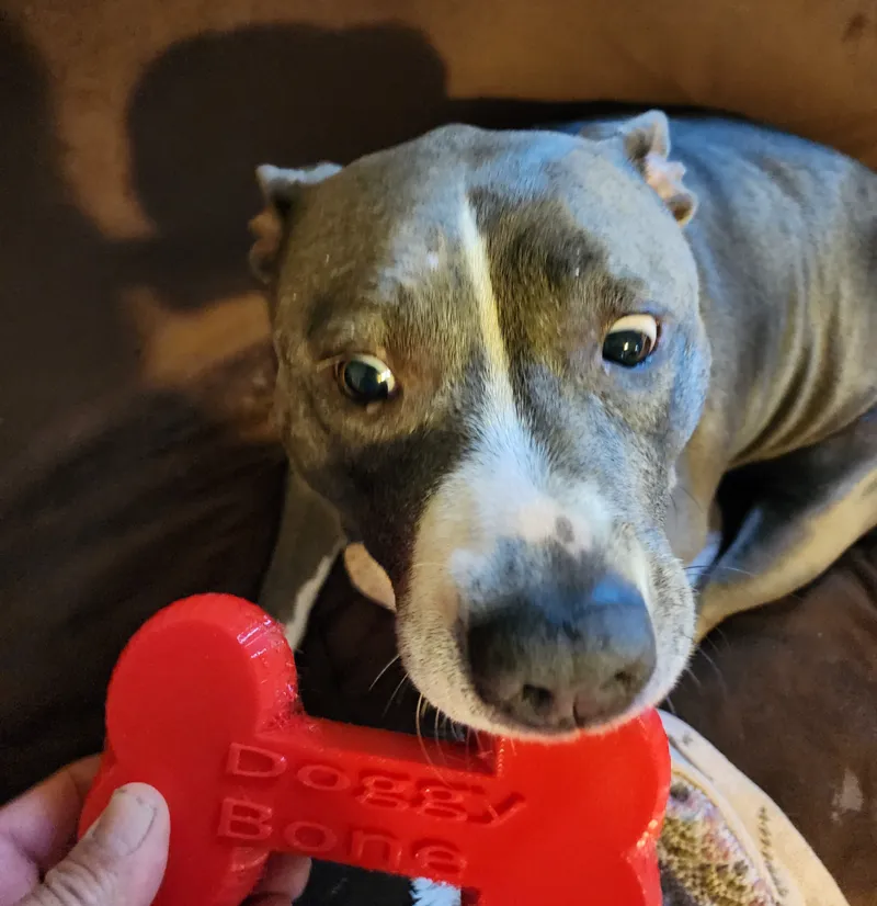 Doggy Bone