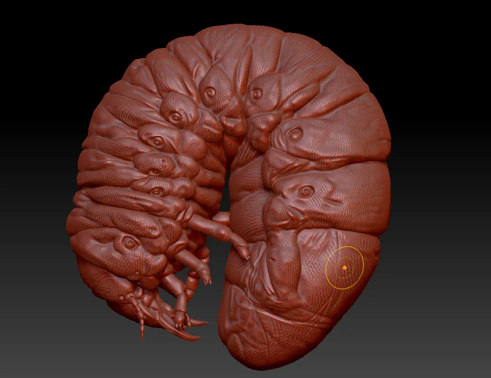 [Original] Natural History Series - Rhinoceros Beetle Larva - Free 3D ...