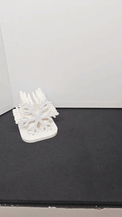 snowflake coaster