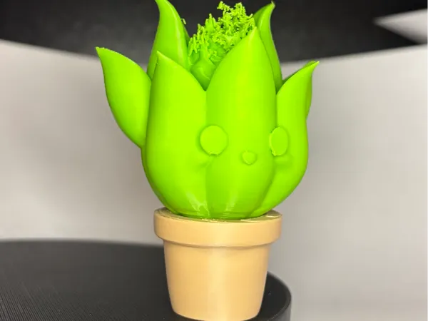 https://makerworld.bblmw.com/makerworld/model/USd17d0faef11caa/design/2025-03-25_cd46473e87b79.jpg