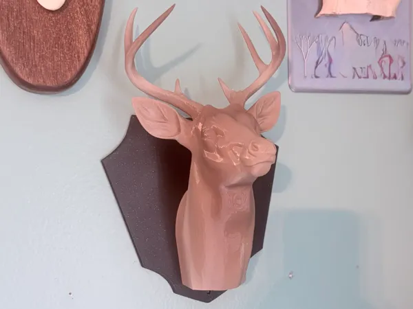 https://makerworld.bblmw.com/makerworld/model/USd17f01e3be938f/design/c74cf877009093d5.jpeg