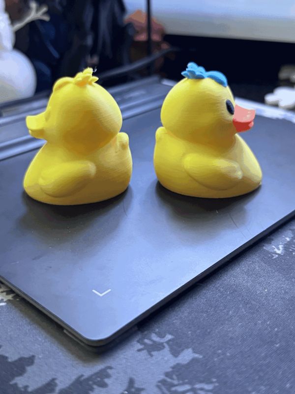 https://makerworld.bblmw.com/makerworld/model/USd1826c41920071/design/2024-12-03_700278174bef8.gif
