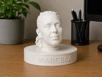 0.08mm layer, 2 walls, 15% infill