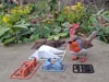 Red Robin - Kit Cards - No AMS - A1 mini