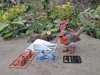Red Robin - Kit Cards - No AMS - A1