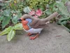 Red Robin - Loose Parts - No AMS - A1