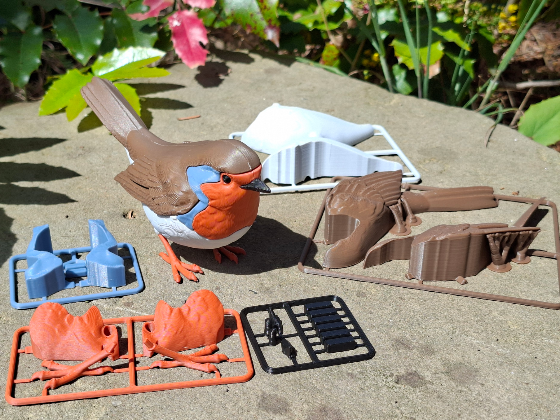 Realistic life-size European Robin Kit Card