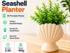 Seashell Planter - 120mm