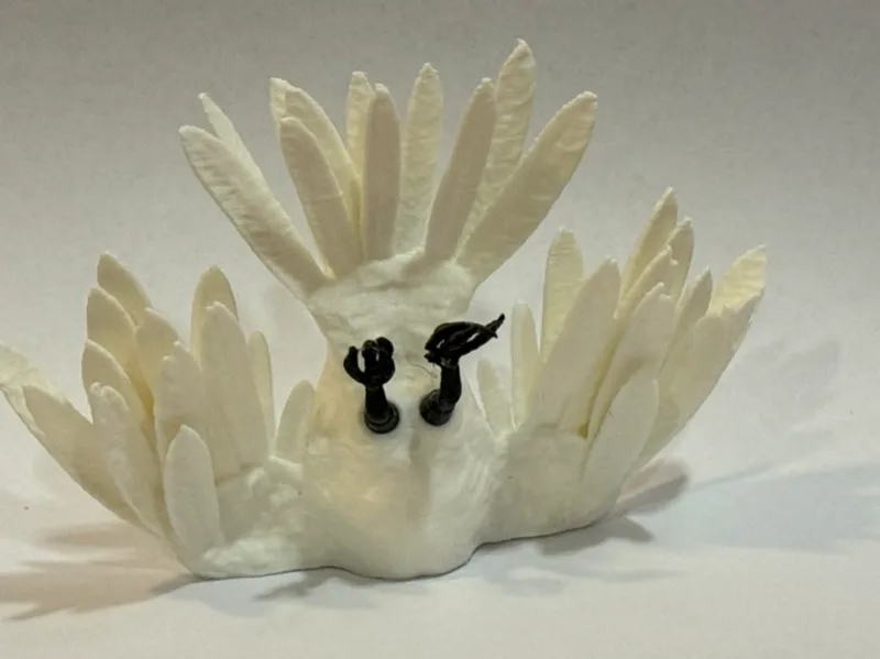 Bird Crashed Into The Wall - No Supports