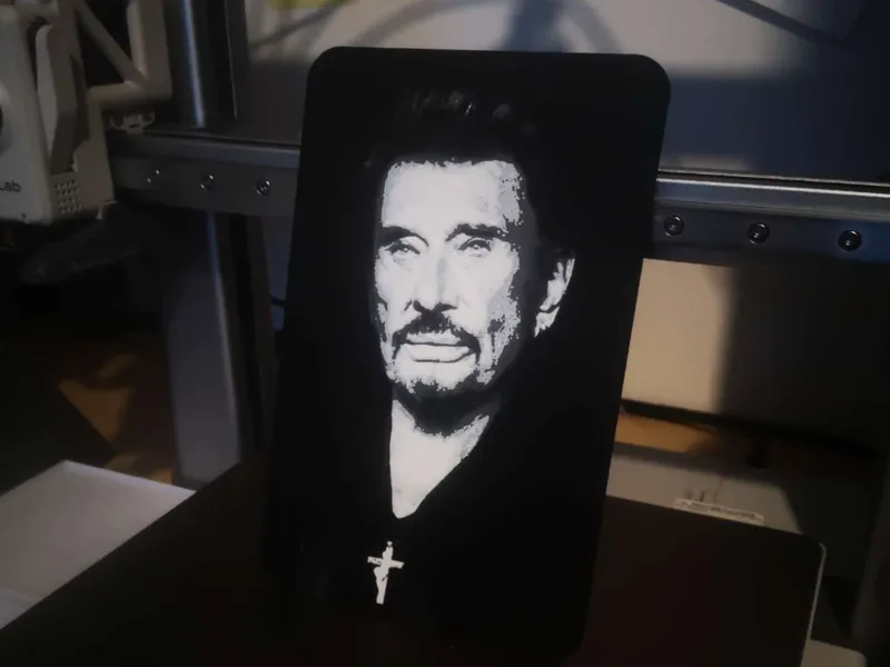 Portrait de Johnny Hallyday 