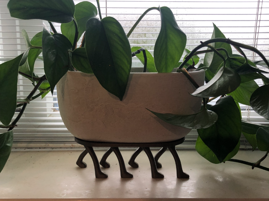 Eight-legged plant stand