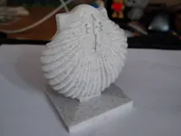 0.16mm layer, 2 walls, 15% infill