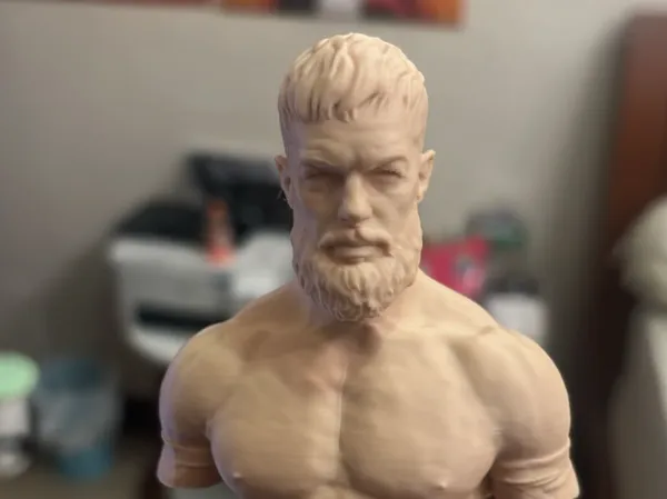 https://makerworld.bblmw.com/makerworld/model/USd19ca85139680d/design/80481bb11615b537.jpeg