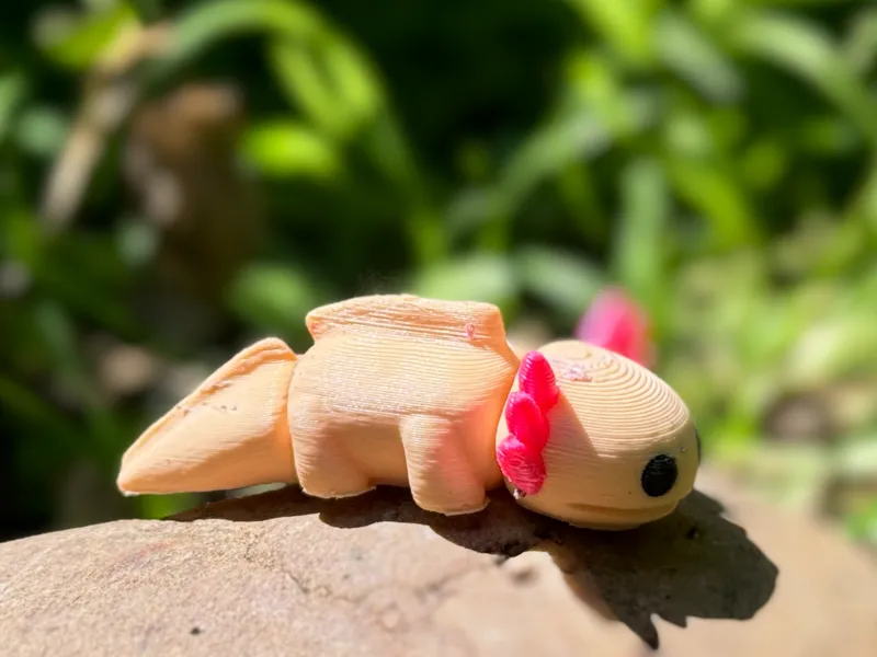 Baby Axolotl