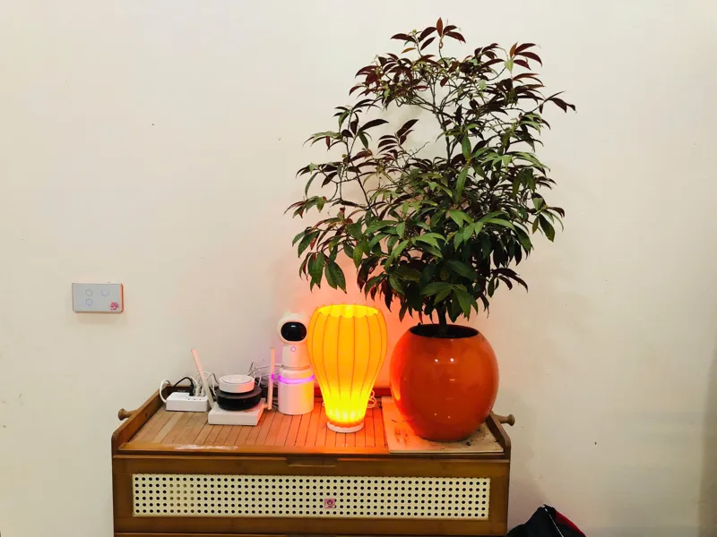 Chill Table Lamp