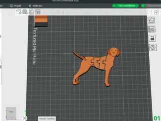 hungarian vizsla flexi