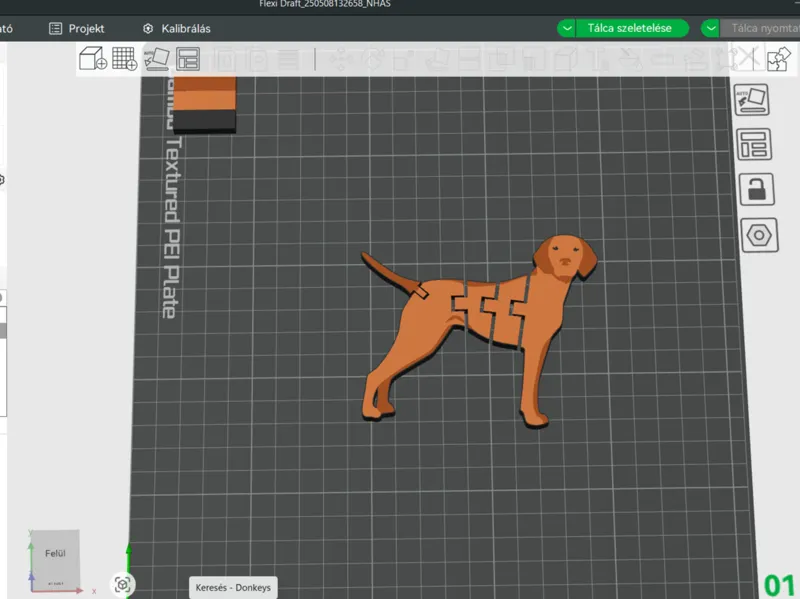 hungarian vizsla flexi
