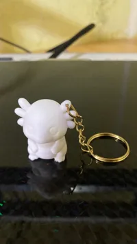 Keychain Version