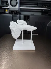 0.16mm layer, 2 walls, 15% infill