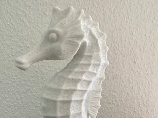 Seahorse bust