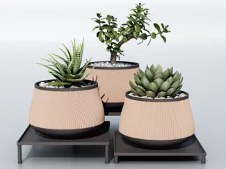 Spiral Planters