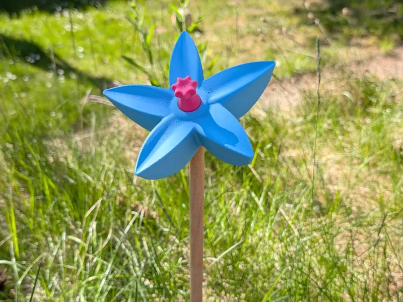 Sternblume Garten