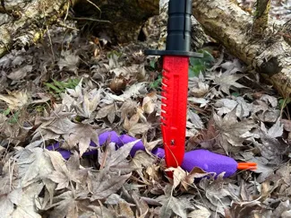 M9 Bayonet