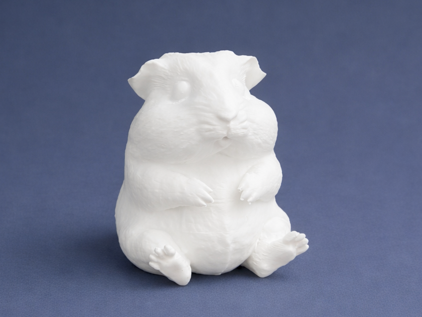 Sitting Guinea Pig - Animal 