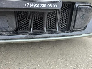 Protective mesh in Voyah free bumper