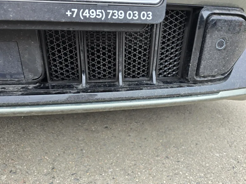 Protective mesh in Voyah free bumper