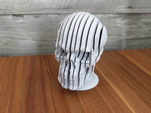 Sliced Skull
